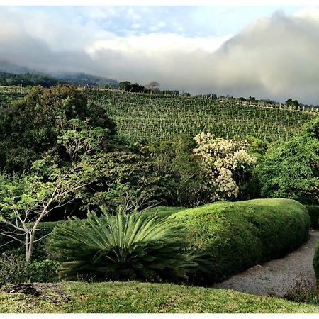 Concepcion Coffee Garden Ranch Costa Ricaアパートメント エクステリア 写真