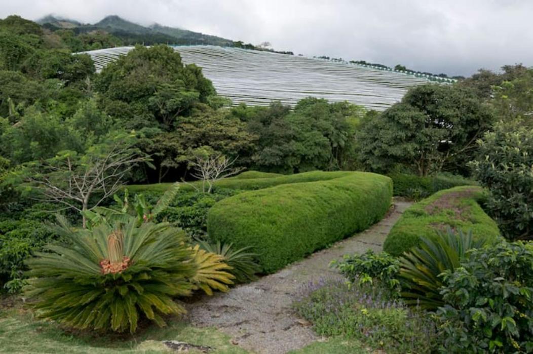 Concepcion Coffee Garden Ranch Costa Ricaアパートメント エクステリア 写真