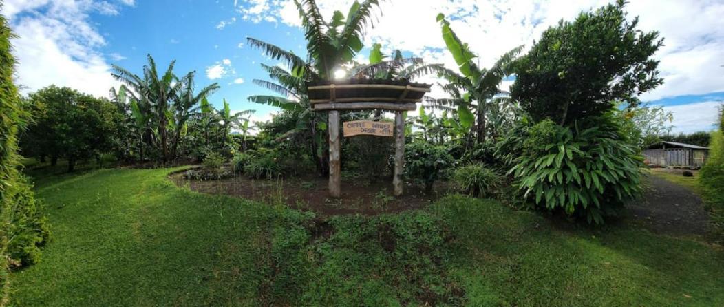 Concepcion Coffee Garden Ranch Costa Ricaアパートメント エクステリア 写真