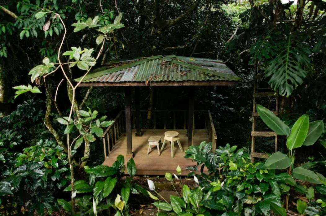 Concepcion Coffee Garden Ranch Costa Ricaアパートメント エクステリア 写真