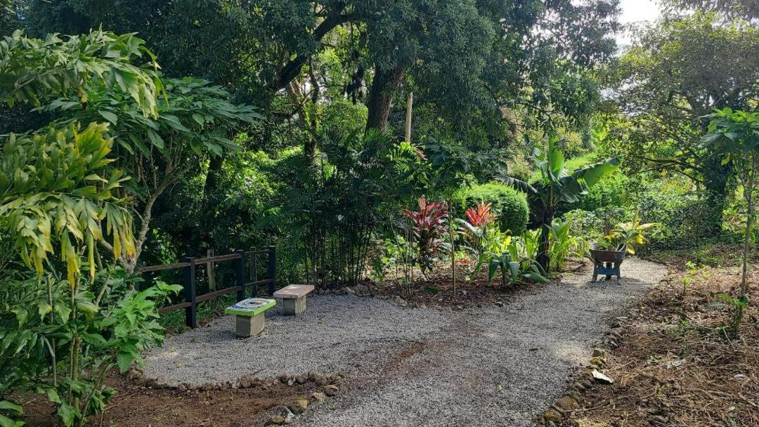 Concepcion Coffee Garden Ranch Costa Ricaアパートメント エクステリア 写真