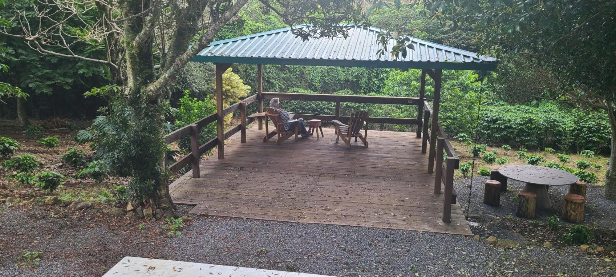 Concepcion Coffee Garden Ranch Costa Ricaアパートメント エクステリア 写真